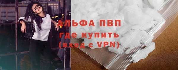 гашик Алексин