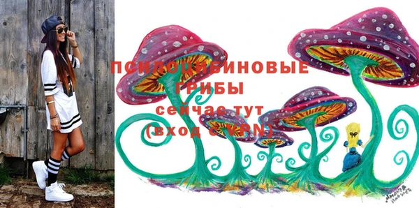 тгк Касимов