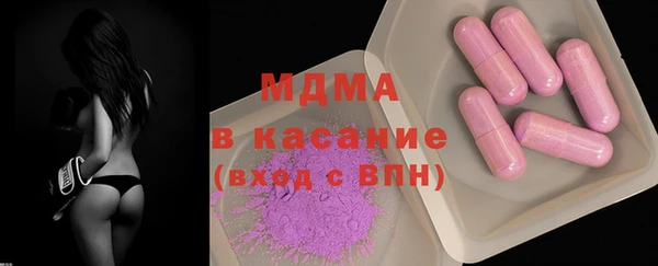 гашик Алексин