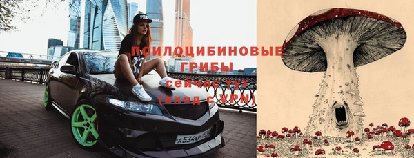 прущие крисы Абдулино